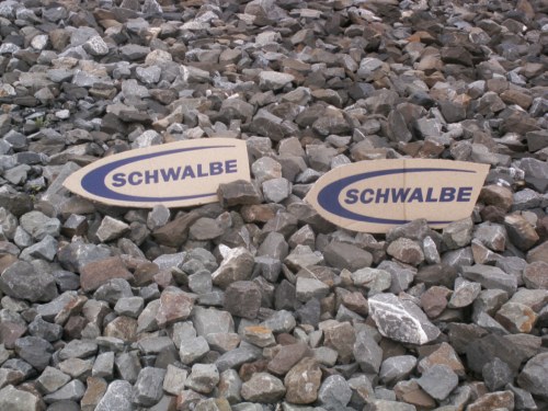 Schwalbe1